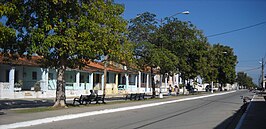 De laan Avenida Juana Romero in San Luis