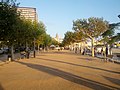 Passeig de Mar (Palamós)