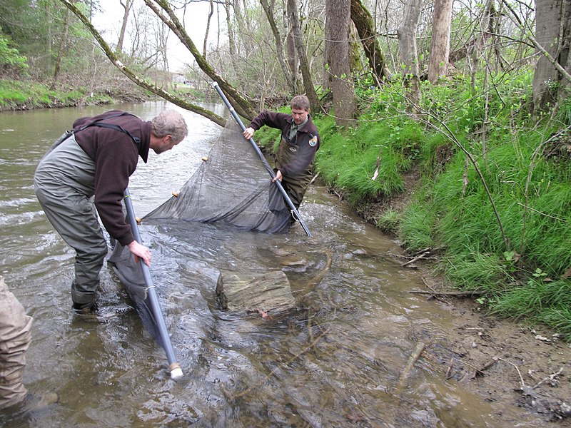 File:Pat Rakes and Mark Cantrell positioning the seine (4948413933).jpg