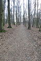 Čeština: Cesta na zámek Konopiště, Konopiště, část obce Benešov, okr. Benešov. English: Path to Konopiště castle, Konopiště, Benešov, Benešov District.