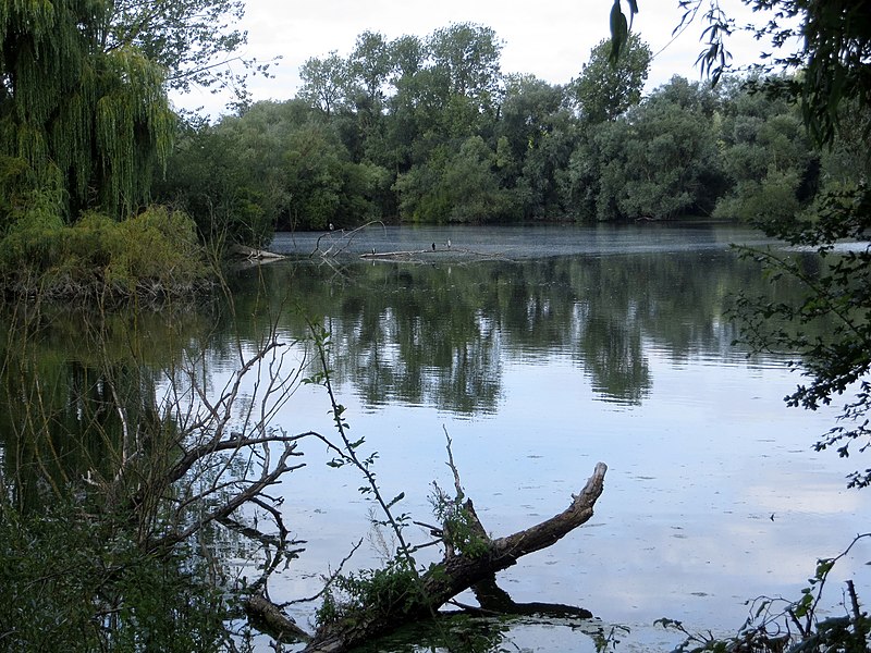 File:Paxton Pits near the visitor centre - August 2013 - panoramio.jpg