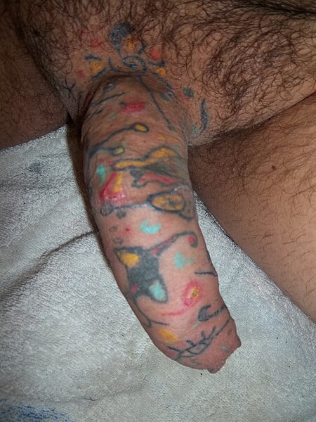 File:Penis tattoo - Genital tattooed like a canvas.jpg