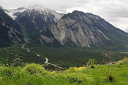 Picswiss VS-69-31.jpg