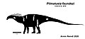 Diagram of the type material and other referred specimens with a silhouette based on the related taxon Amargasaurus Pilmatueia skeletal.jpg