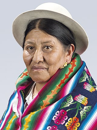 <span class="mw-page-title-main">Plácida Espinoza</span> Bolivian politician (born 1948)