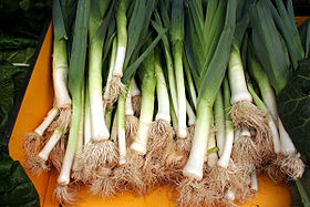 Przykładowa ilustracja artykułu Leek from Créances