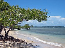 La Guancha Beach in Ponce Ponce La Guancha Beach.jpg