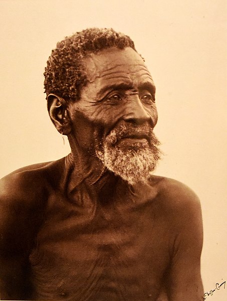 Αρχείο:Portrait of a bushman. Alfred Duggan-Cronin. South Africa, early 20th century. The Wellcome Collection, London.jpg