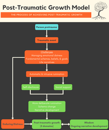 A Model of Post Traumatic Growth Posttraumatic growth process.png