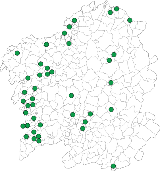 File:Preferente1011.png