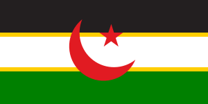 撒拉威阿拉伯民主共和國草案