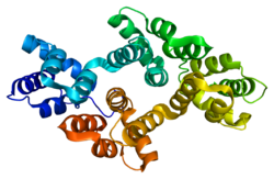 Protein ANXA2 PDB 1w7b.png