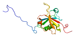 پروتئین SAP18 PDB 2hde.png