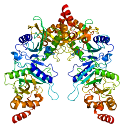 Protein SUFU PDB 1m1l.png