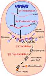 Thumbnail for Single-cell analysis