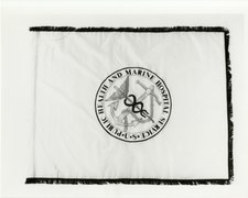 Public Health And Marine Hospital Service flag (N)