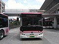 Pujiang Route 20, Shanghai at Shendu Highway Metro Station.jpg