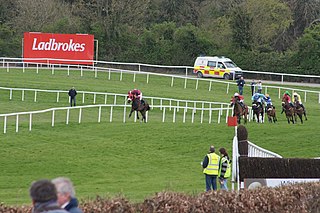 <span class="mw-page-title-main">Punchestown Racecourse</span>