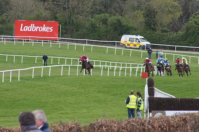 File:Punchestown races 2009.jpg