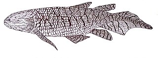 <i>Quebecius</i> Extinct genus of fishes