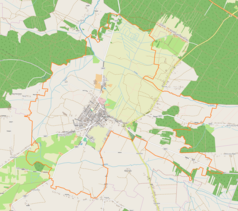 Mapa konturowa Radoszyc, w centrum znajduje się punkt z opisem „Kościół Świętych Apostołów Piotra i Pawła”