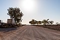* Nomination Trans Access Road in Rawlinna, Western Australia, Australia --XRay 04:23, 21 November 2019 (UTC) * Promotion  Support Good quality.--Agnes Monkelbaan 05:28, 21 November 2019 (UTC)