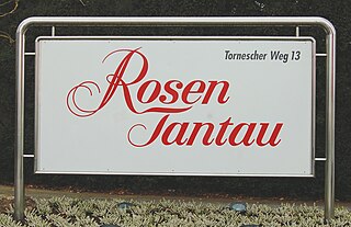 Rosen Tantau Rose breeding company in the District of Pinneberg in Schleswig-Holstein, Germany