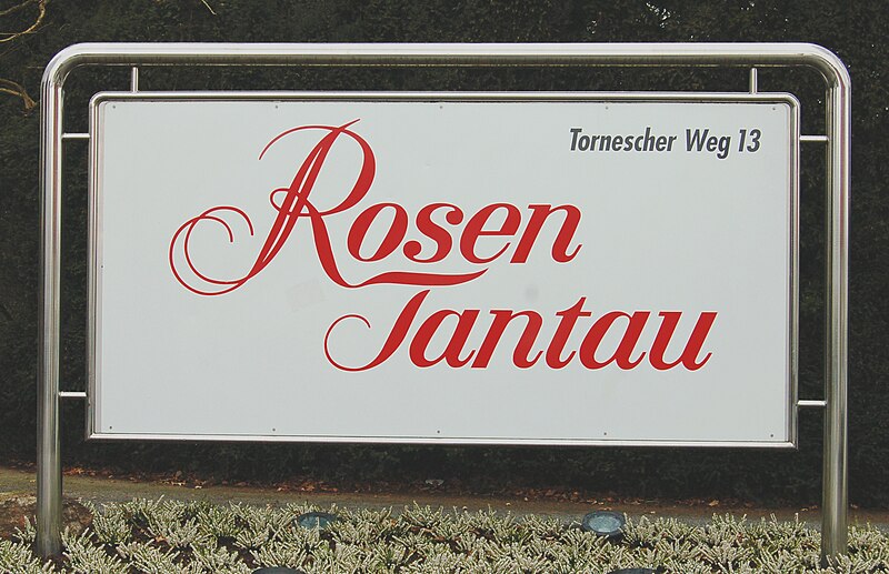 File:Rosen Tantau.jpg