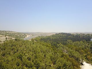 <span class="mw-page-title-main">Rosh HaAyin Forest</span>