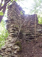 Ruine Stubenberg