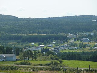 <span class="mw-page-title-main">Saint-Vianney, Quebec</span> Municipality in Quebec, Canada