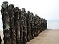 Lieu : Saint Malo (Bretagne / France)