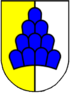 Blason de Salenstein