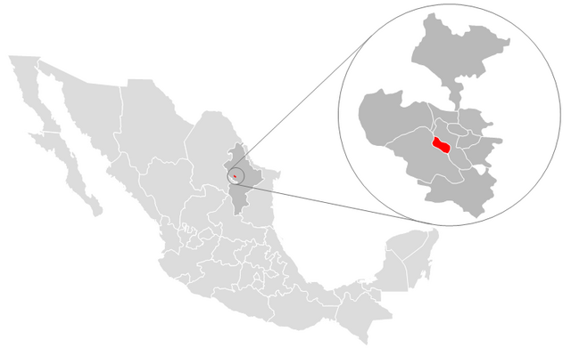 Localização de San Pedro Garza García (em vermelho) no estado de Nuevo León, México