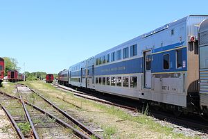 Double-deck silver railcars in an overgrown railway yard