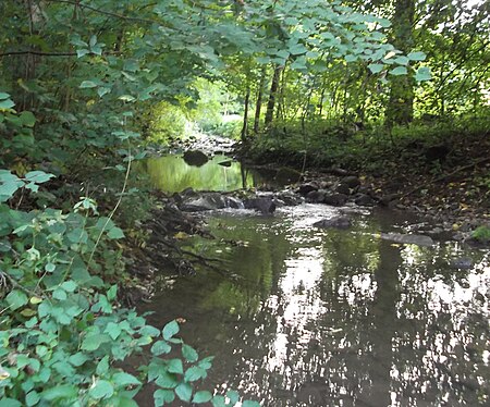 Schönertsbach bei Reicholzheim