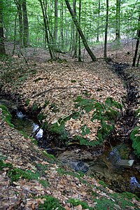 Schleswig-Holstein, Itzehoe, Landschaftsschutzgebiet Gehege Überstör und Katzenkuhle NIK 6641.JPG