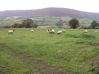 <span class="mw-page-title-main">Hatterrall Hill</span> Hill (531m) in Monmouthshire, Wales