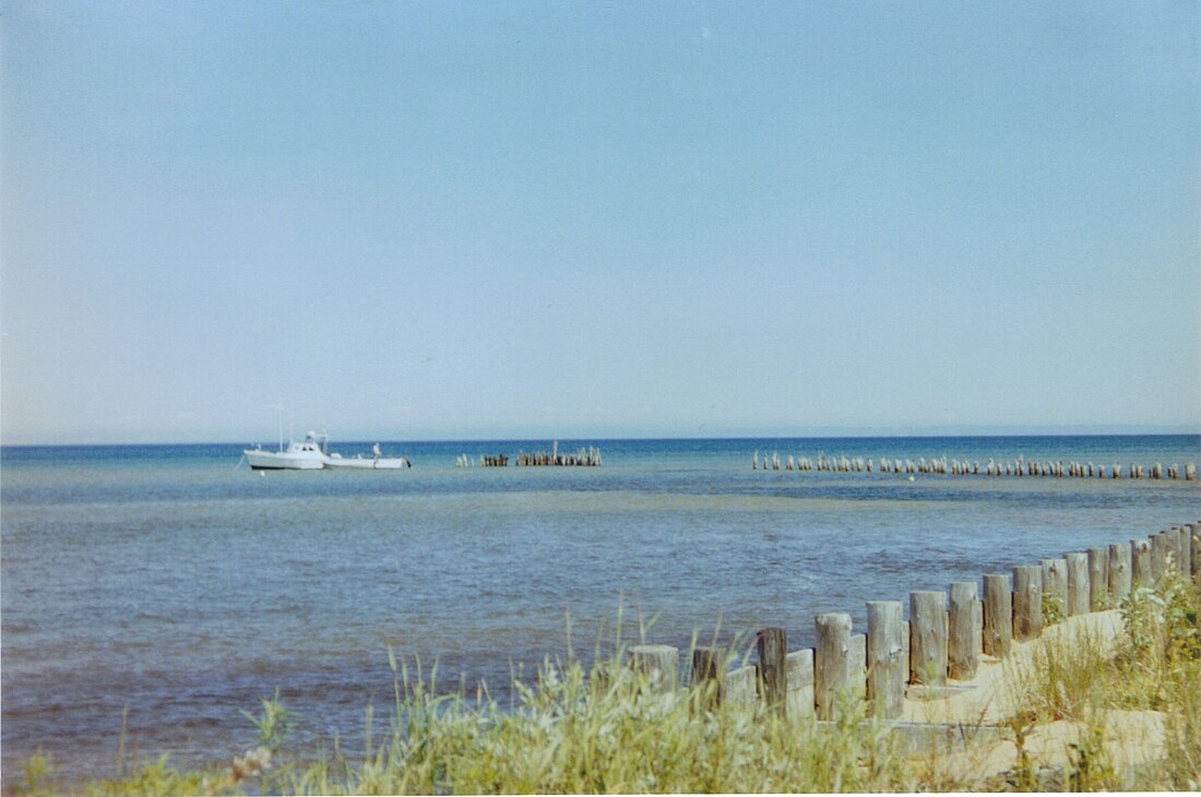 Shelldrake, Michigan