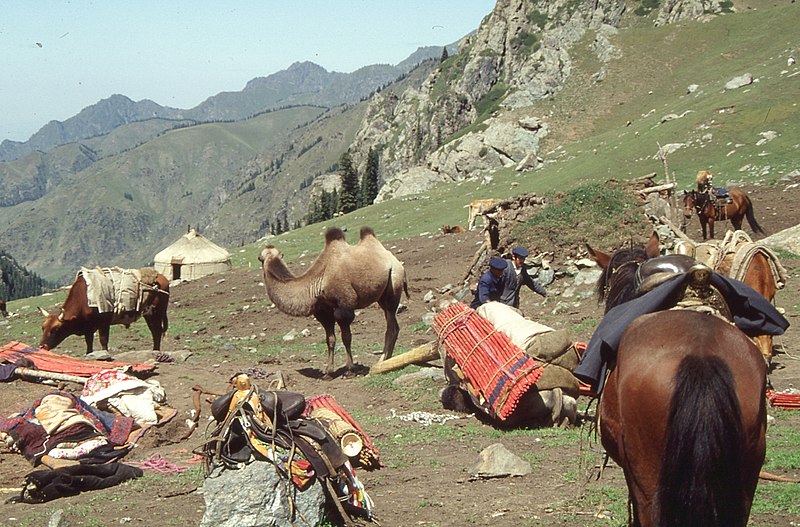 File:Silk Road 1992 (4368174878).jpg