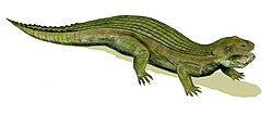 Simosuchus BW.jpg