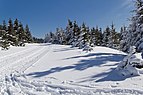 Skiing in Oberhof March 2013-13-Ski track.jpg