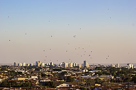 Panorama da cidade de Rio Claro durante o 21.º Campeonato Mundial de Balonismo.