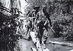 Soldiers from the 2-43rd Battalion patrolling on Labuan (AWM photo 109462).jpg