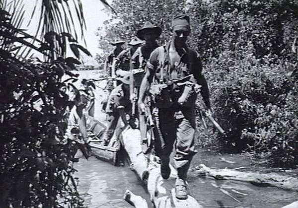 Members of a patrol from 'A' Company, Australian 2/43rd Battalion, disembark from a boat and walk along a large fallen tree, as they move inland to in