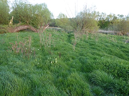 Southfield Farm Marsh 5