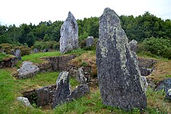 Tumulus du Château Bû makalesinin açıklayıcı görüntüsü