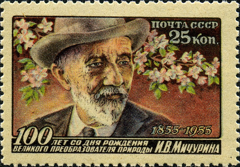 File:Stamp of USSR 1896.jpg