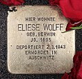 Eliese Wolff, Christburger Straße 36, Berlin-Prenzlauer Berg, Deutschland