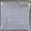 image=https://commons.wikimedia.org/wiki/File:Stolperstein_Euskirchen,_Dr._Hugo_Oster_(Wilhelmstra%C3%9Fe_36).jpg